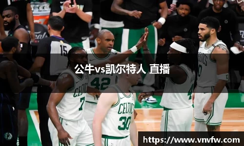 公牛vs凯尔特人 直播